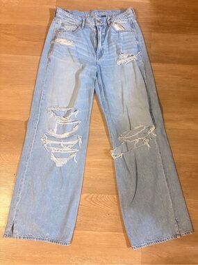 American Eagle Outfitters Distressed Baggy Wide Leg Jeans